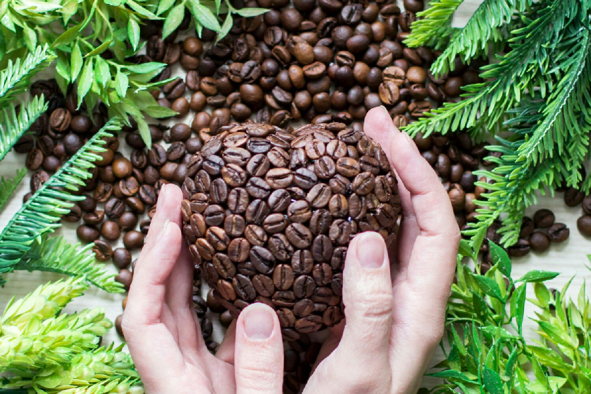 La nonna usava i fondi di caffè così: le sue piante erano le più belle del paese e si faceva invidiare