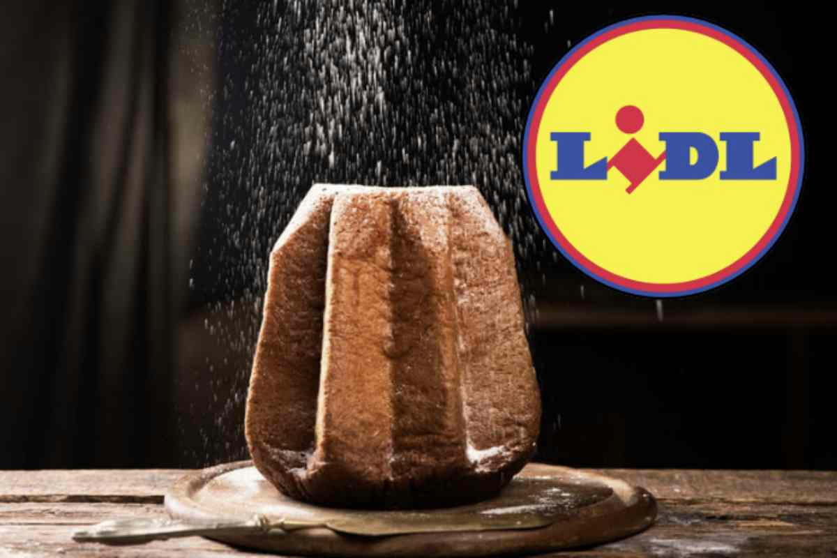 Perché il Pandoro Lidl sembra uguale a quello artigianale, ma costa la metà?