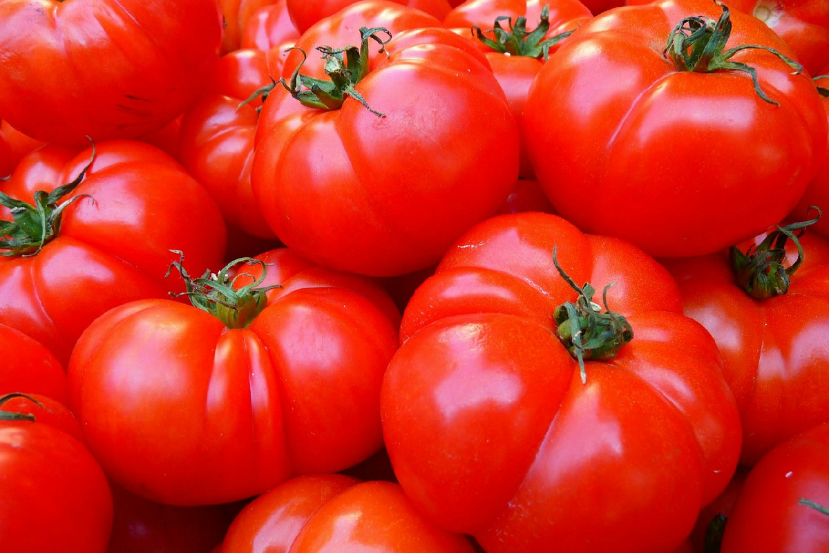 Questa singola pratica in cucina cambia davvero il raccolto dei tuoi pomodori